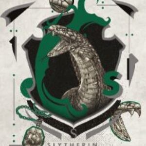 Harry Potter Limited Edition Slytherin Art Print