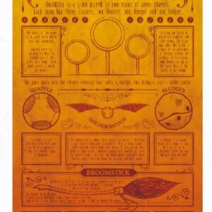 Harry Potter Limited Edition Quidditch Art Print