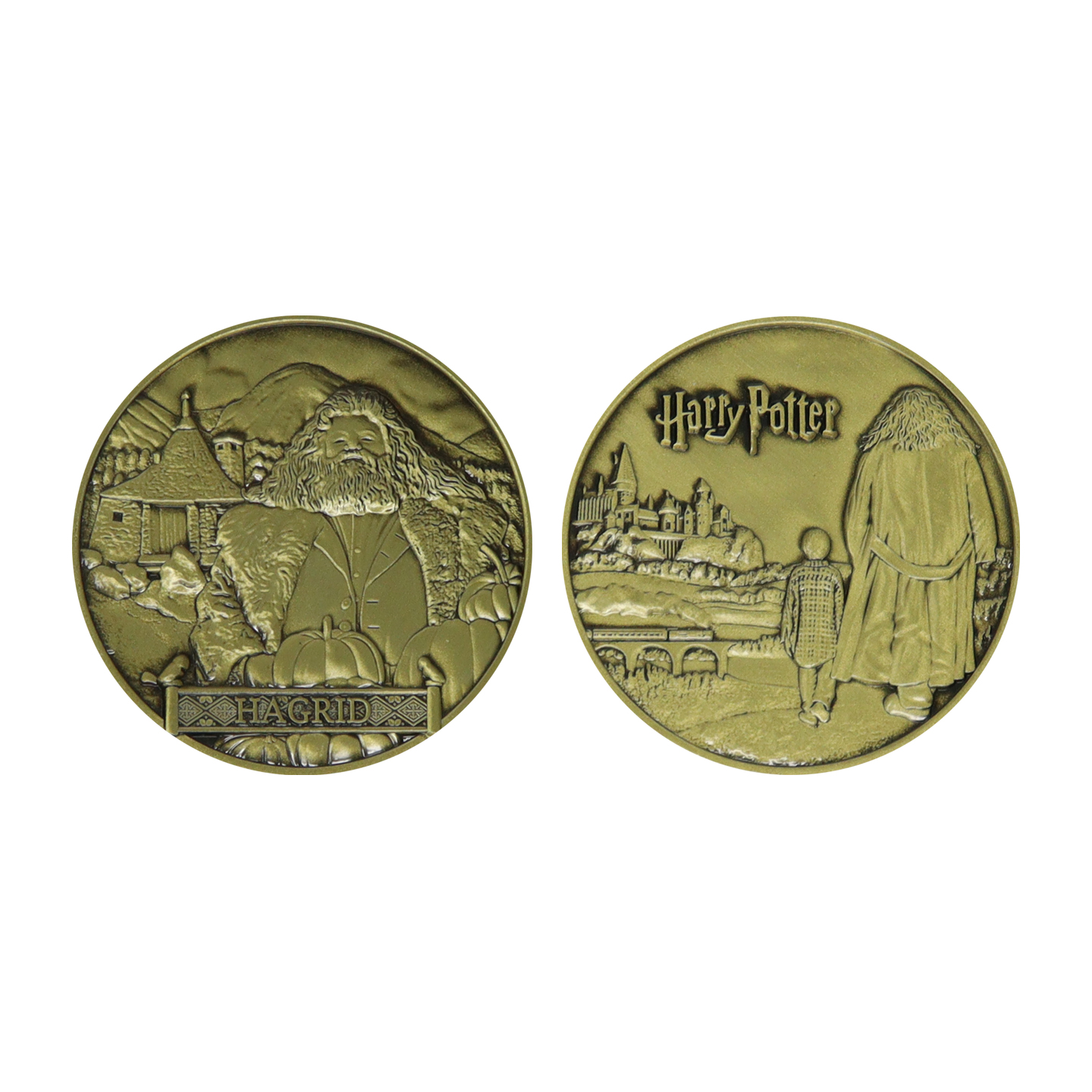 Harry Potter Limited Edition Rubeus Hagrid Collectible Coin front and back view