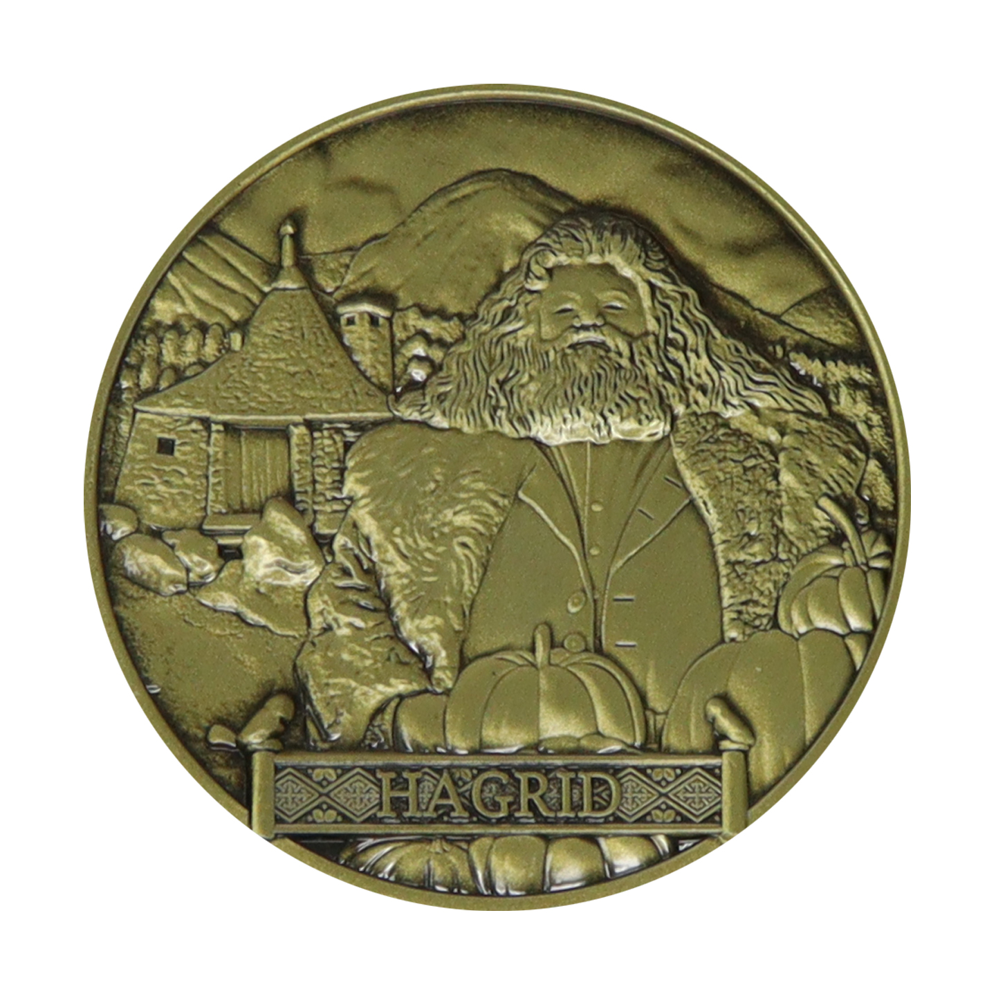 Harry Potter Limited Edition Rubeus Hagrid Collectible Coin front view